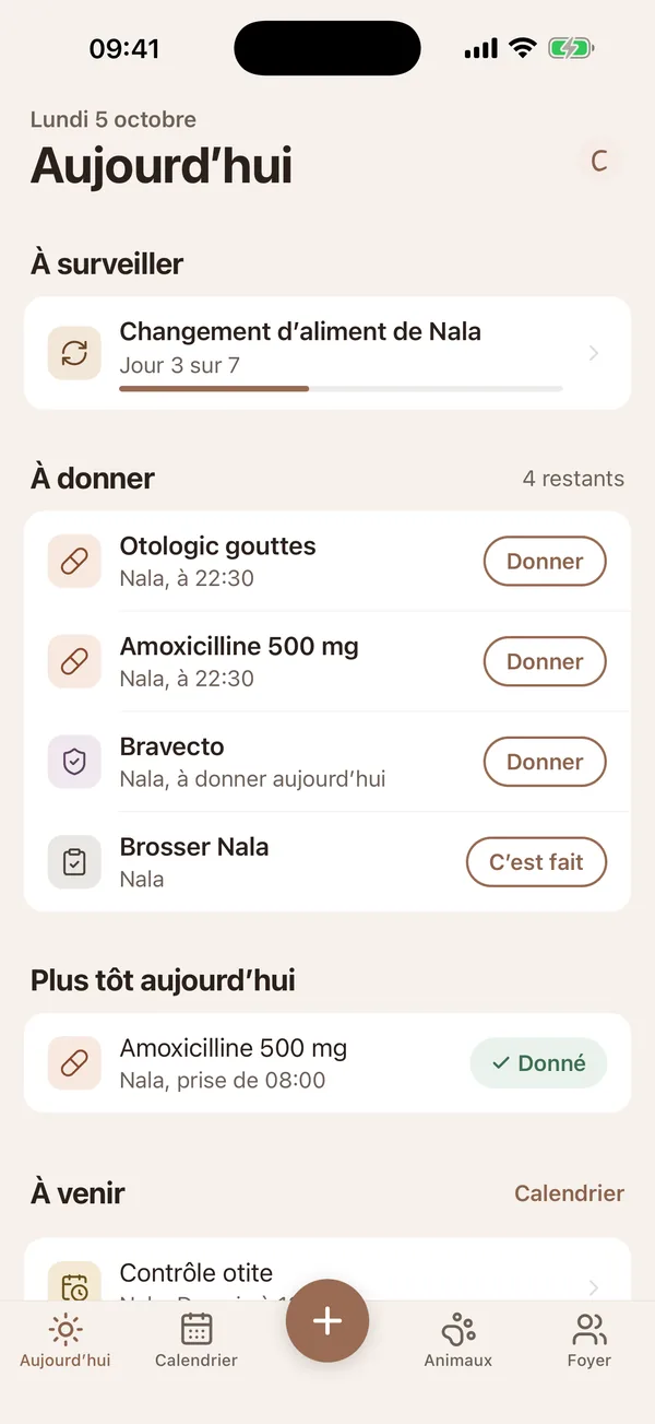L’accueil de Meddor : ce qu’il y a à faire aujourd’hui
